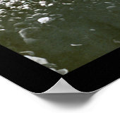 Poster Photo 1907 des séries mondiales de tigres (Coin)