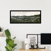 Poster Photo 1907 des séries mondiales de tigres (Bureau à domicile)