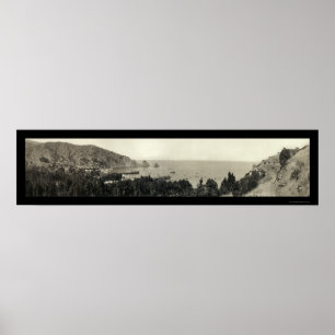 Poster Photo 1911 d'île d'Avalon Catalina