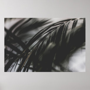POSTER PHOTO À ÉCHELLE GRISE DE FEUILLES PLANTE