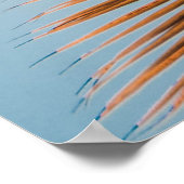 POSTER PHOTO À FAIBLE ANGLE DE COCOTIER (Coin)