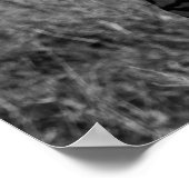 POSTER PHOTO À GRANDE ÉCHELLE DE ZEBRAS (Coin)