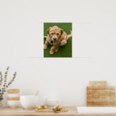 Poster Photo adorable de chiot (Cuisine)