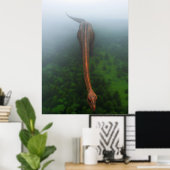 Poster photo aérienne de la forêt primitive (Bureau à domicile)