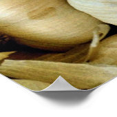 Poster Photo ail frais (Coin)