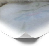 Poster Photo Albino Ferret (Coin)