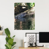 Poster Photo Alligator (Bureau à domicile)