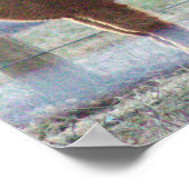 Poster photo Alpaca (Coin)