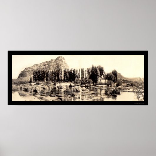 Poster Photo Alpheus Creek ID 1913 (Devant)