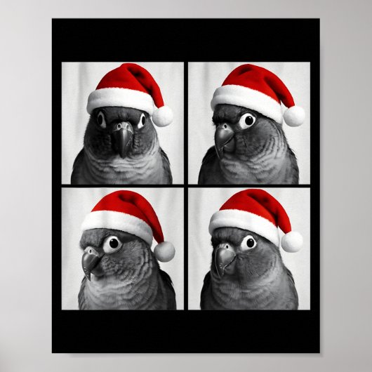 Poster Photo amusant de Noël d'un conure à joues vertes e (Devant)