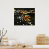 Poster photo Automne Stream Cascade (Cuisine)