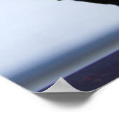 Poster Photo Blackbird (Coin)