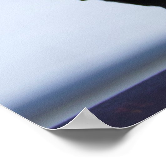 Poster Photo Blackbird (Coin)