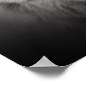 Poster photo blanc noir Loup blanc (Coin)