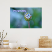 Poster Photo Blue Daisy Bud Imprimer/Poster - "Potentiel" (Cuisine)
