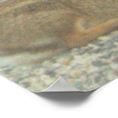 Poster photo Bunny (Coin)