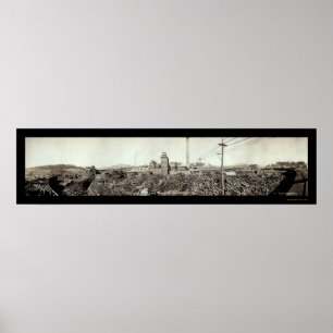 Poster Photo Champion Fibre Lumber 1910
