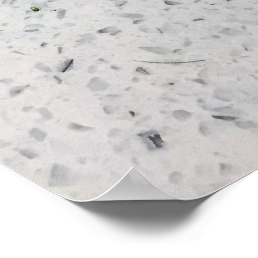 Poster Photo Cheesecake (Coin)