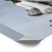 Poster Photo Chien Chien beagle (Coin)