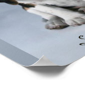 Poster Photo Chien Chien beagle (Coin)