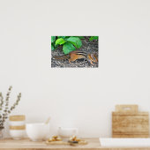 Poster photo Chipmunk (Cuisine)