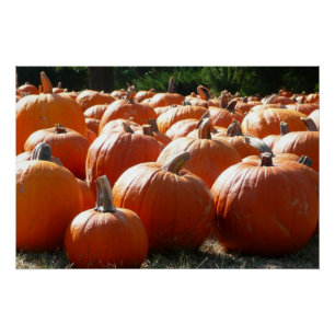 Poster Photo citrouille pour automne, Halloween ou Thanks