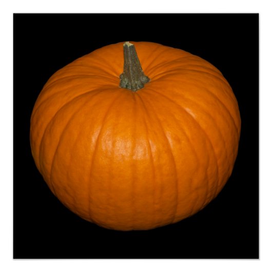 Poster Photo citrouille sur Arrière - plan noir (Devant)