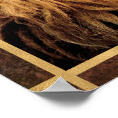 Poster Photo Closeup Lion (Coin)