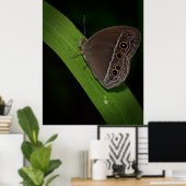 Poster Photo Closeup papillon (Bureau à domicile)