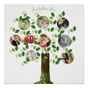 Poster Photo Collage Famille Arbre Parents Grand-Parent C