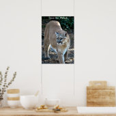 Poster photo Cougar "Save Our Planet" (Cuisine)
