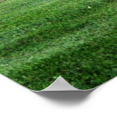 Poster photo couleur renard rouge imprimer (Coin)