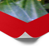 Poster photo couleur rouge et jaune (Coin)
