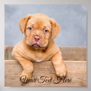 Poster Photo d'affiche personnalisée pour les Carrés.