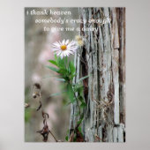 Poster Photo Daisy (Devant)