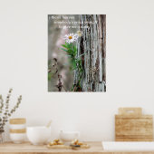 Poster Photo Daisy (Cuisine)