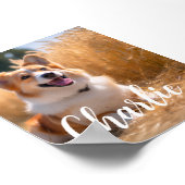 Poster Photo d'animal de compagnie personnalisée (Coin)