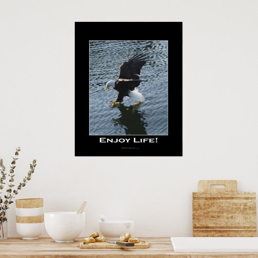 Poster photo de Bald Eagle (Cuisine)