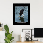 Poster photo de Bald Eagle (Bureau à domicile)