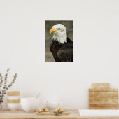 Poster Photo de Bald Eagle (Cuisine)