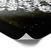 Poster Photo de baseball des Giants Cubs 1908 (Coin)