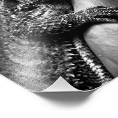 Poster photo de Beared Dragon (Coin)