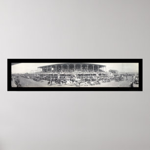 Poster Photo de bovins Sedalia MO 1911