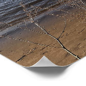 Poster photo de Bridge Waterscape (Coin)