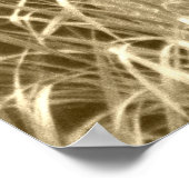 Poster photo de Buck Deer (Coin)