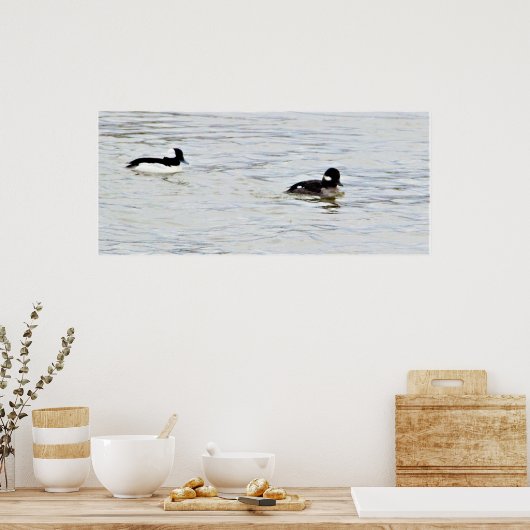 Poster photo de Bufflehead Ducks (Cuisine)