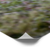 Poster Photo de bulle (Coin)