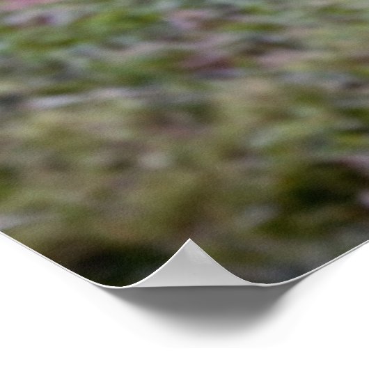 Poster Photo de bulle (Coin)