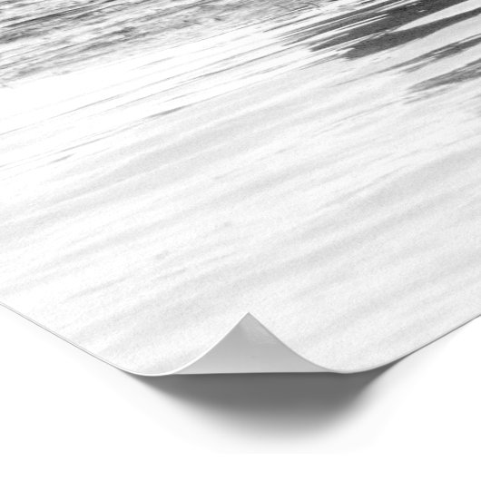 Poster photo de canard (Coin)