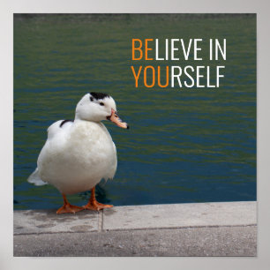 Poster Photo de canard blanc et noir